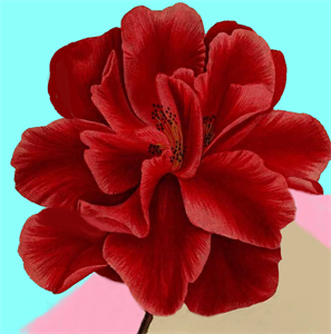 ПР 255.png